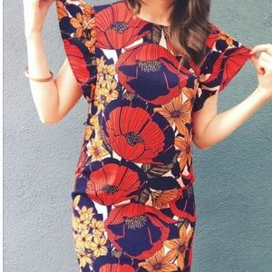 Loft Petite Poppy Floral Dress Small 